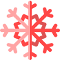 Winterdienst Icon